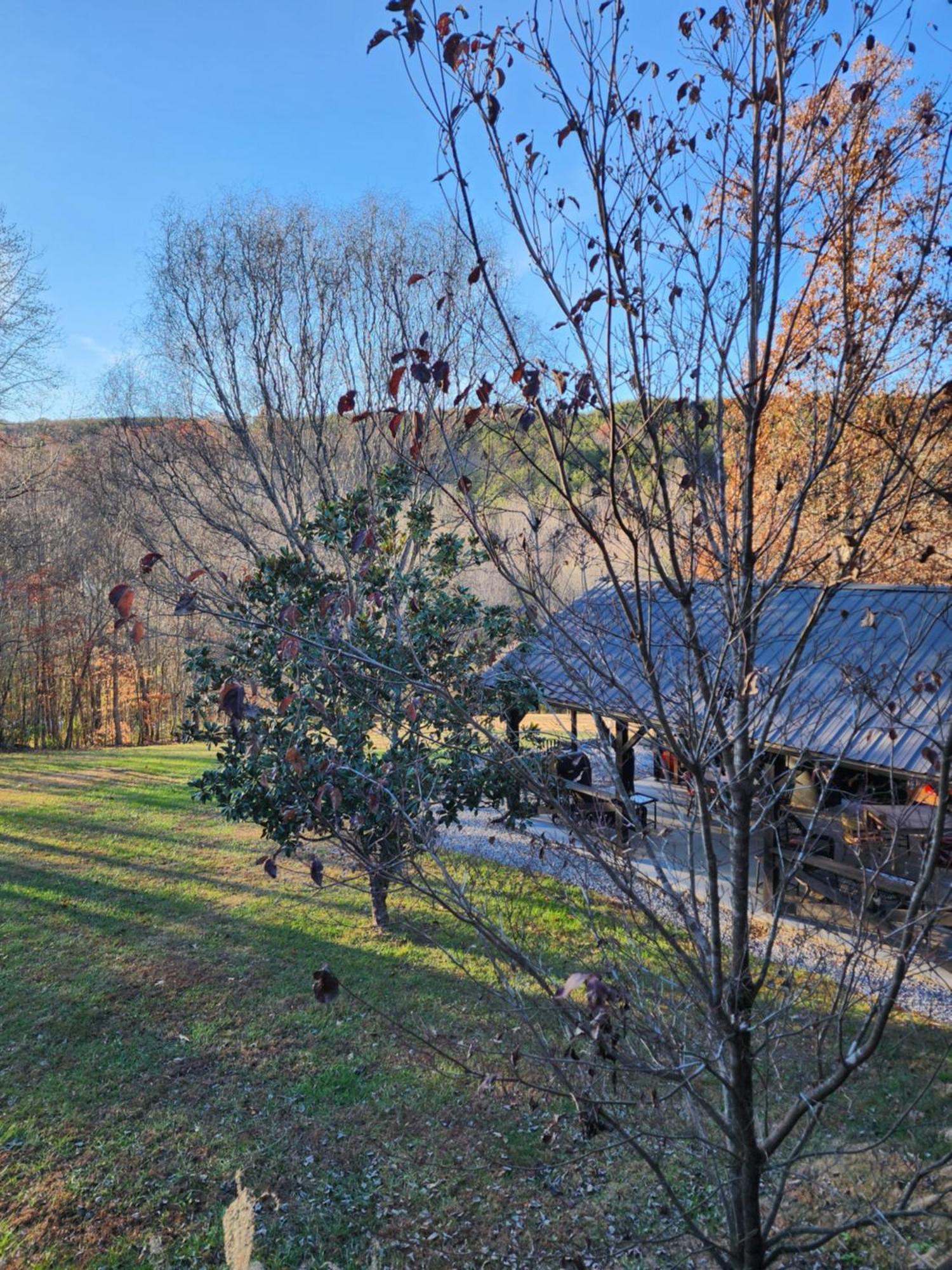 Lodge At Tellico Tellico Plains Eksteriør bilde